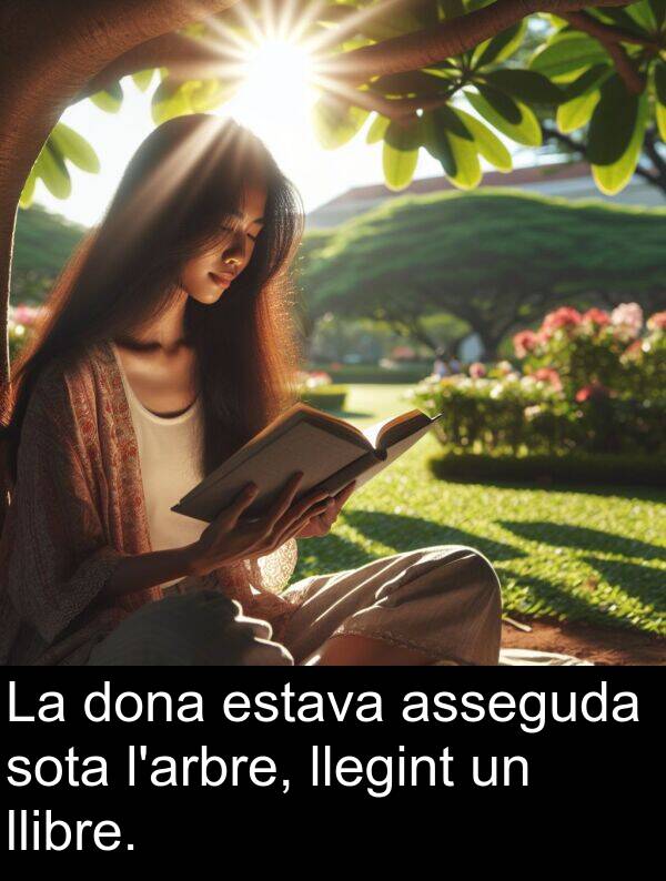 llibre: La dona estava asseguda sota l'arbre, llegint un llibre.