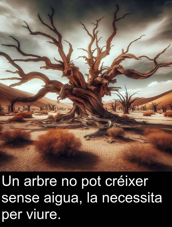 sense: Un arbre no pot créixer sense aigua, la necessita per viure.