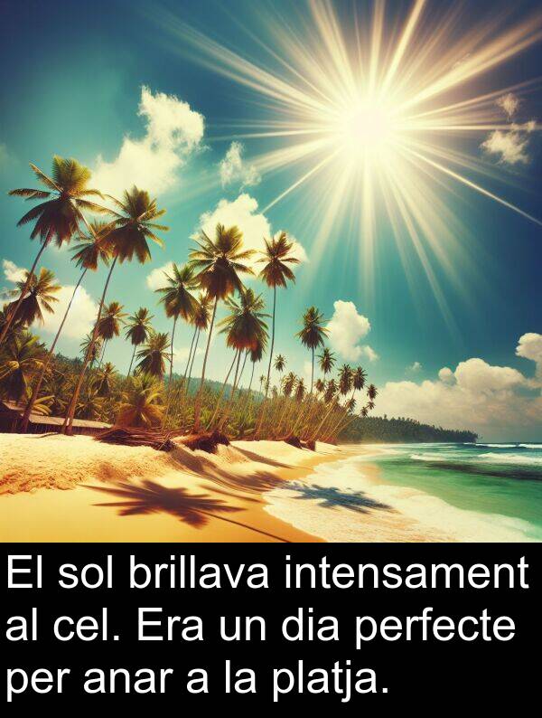 anar: El sol brillava intensament al cel. Era un dia perfecte per anar a la platja.