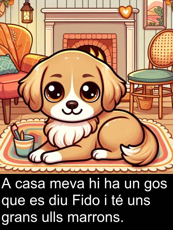 ulls: A casa meva hi ha un gos que es diu Fido i té uns grans ulls marrons.