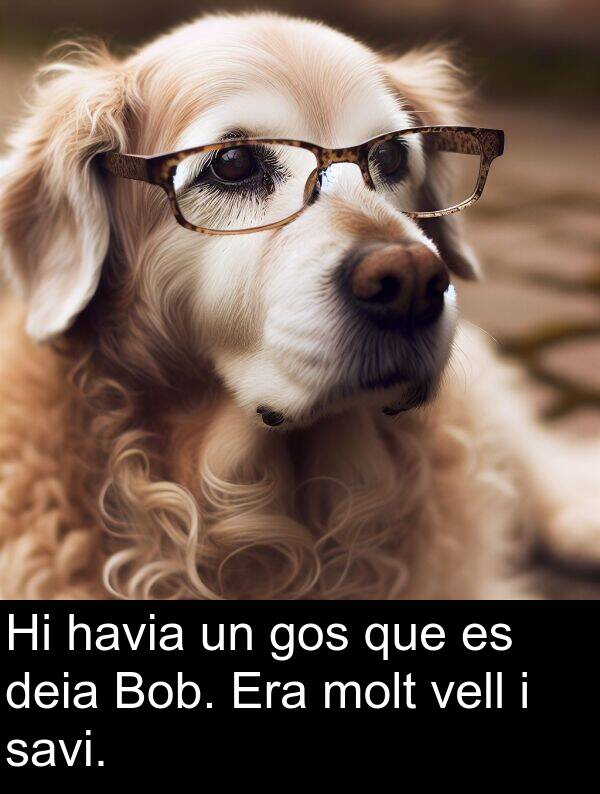 deia: Hi havia un gos que es deia Bob. Era molt vell i savi.