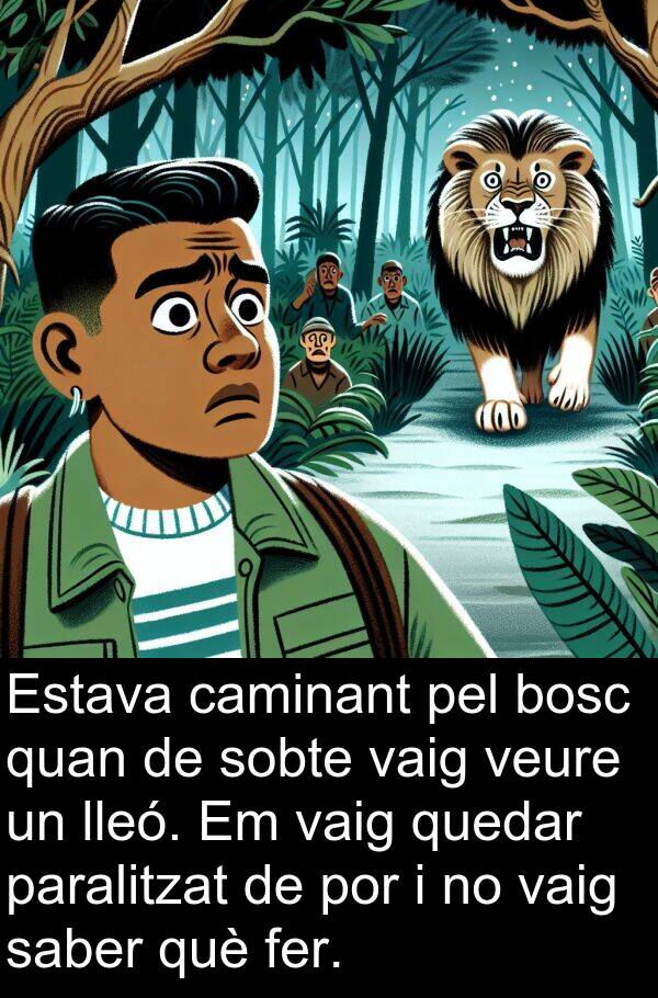 lleó: Estava caminant pel bosc quan de sobte vaig veure un lleó. Em vaig quedar paralitzat de por i no vaig saber què fer.