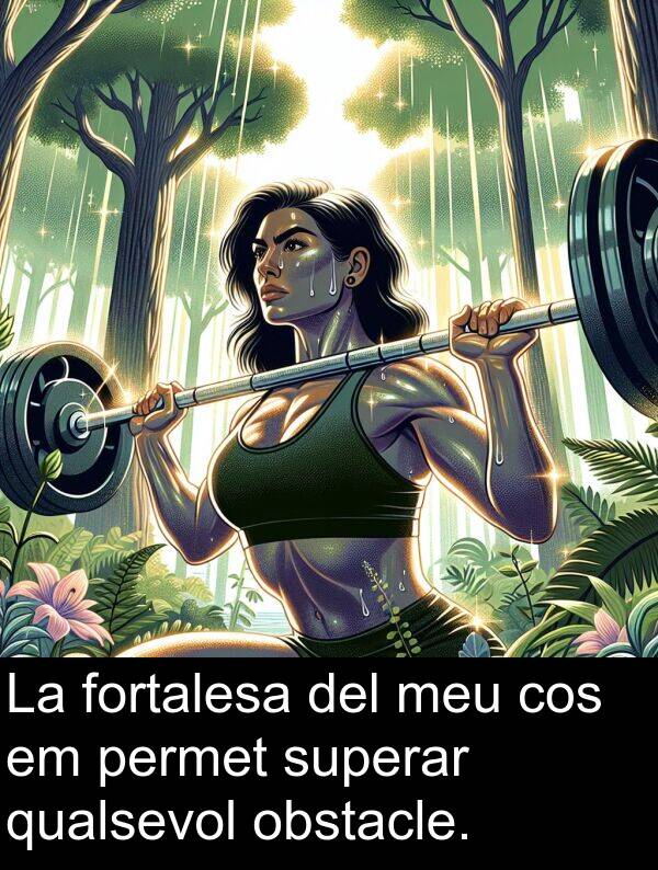 superar: La fortalesa del meu cos em permet superar qualsevol obstacle.