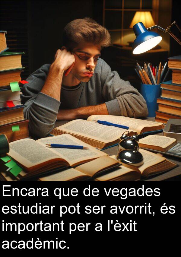 vegades: Encara que de vegades estudiar pot ser avorrit, és important per a l'èxit acadèmic.