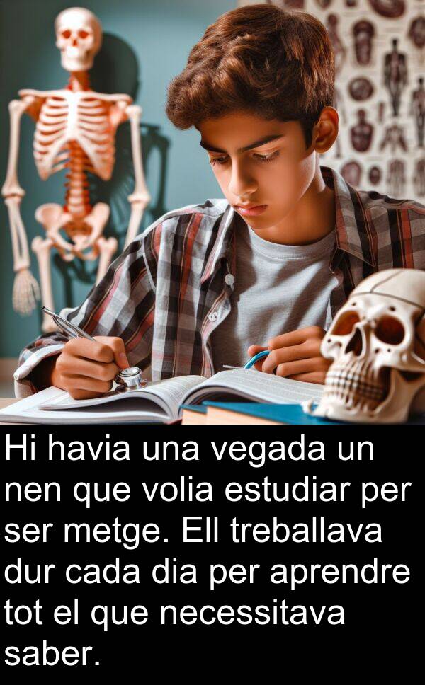 treballava: Hi havia una vegada un nen que volia estudiar per ser metge. Ell treballava dur cada dia per aprendre tot el que necessitava saber.