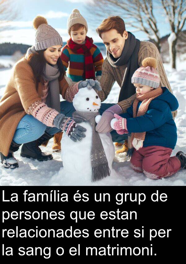 família: La família és un grup de persones que estan relacionades entre si per la sang o el matrimoni.