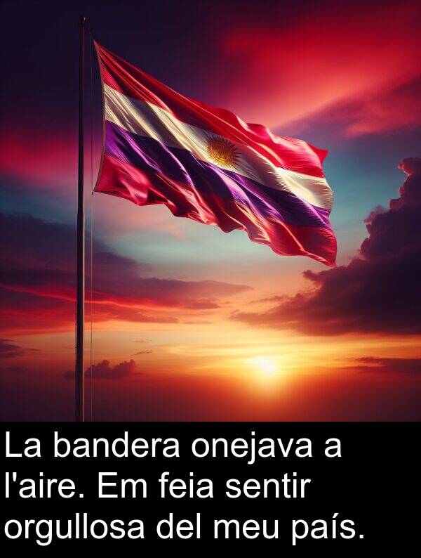país: La bandera onejava a l'aire. Em feia sentir orgullosa del meu país.