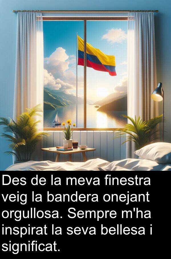 significat: Des de la meva finestra veig la bandera onejant orgullosa. Sempre m'ha inspirat la seva bellesa i significat.