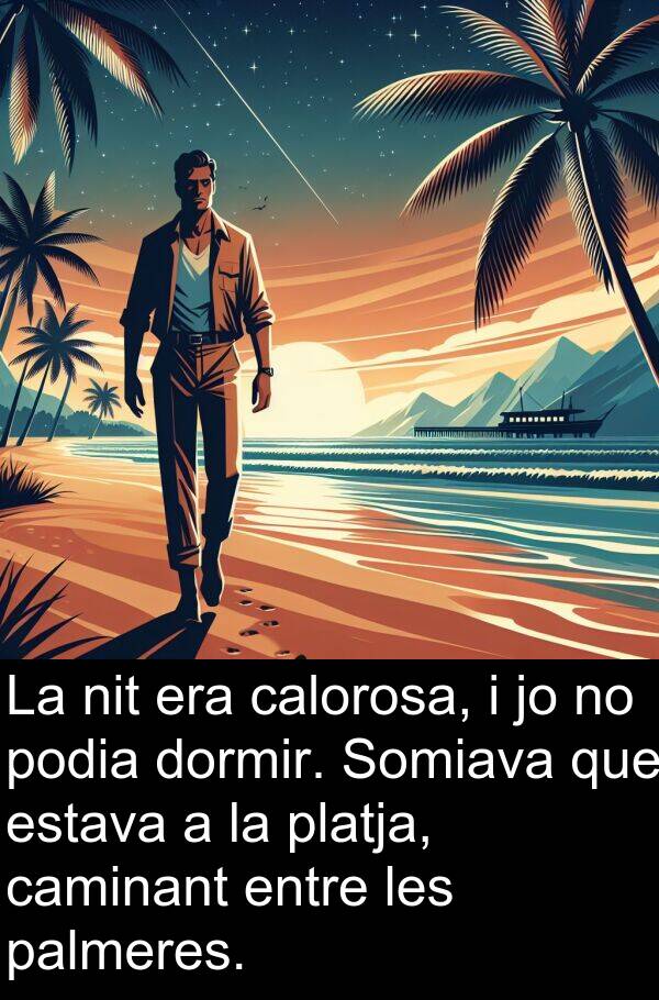podia: La nit era calorosa, i jo no podia dormir. Somiava que estava a la platja, caminant entre les palmeres.