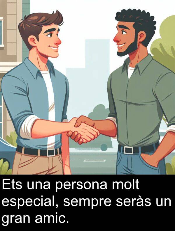 amic: Ets una persona molt especial, sempre seràs un gran amic.