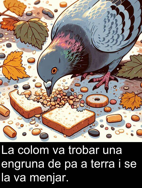 engruna: La colom va trobar una engruna de pa a terra i se la va menjar.
