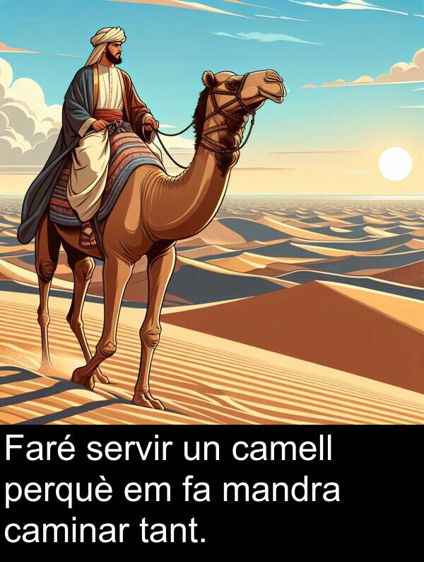 camell: Faré servir un camell perquè em fa mandra caminar tant.