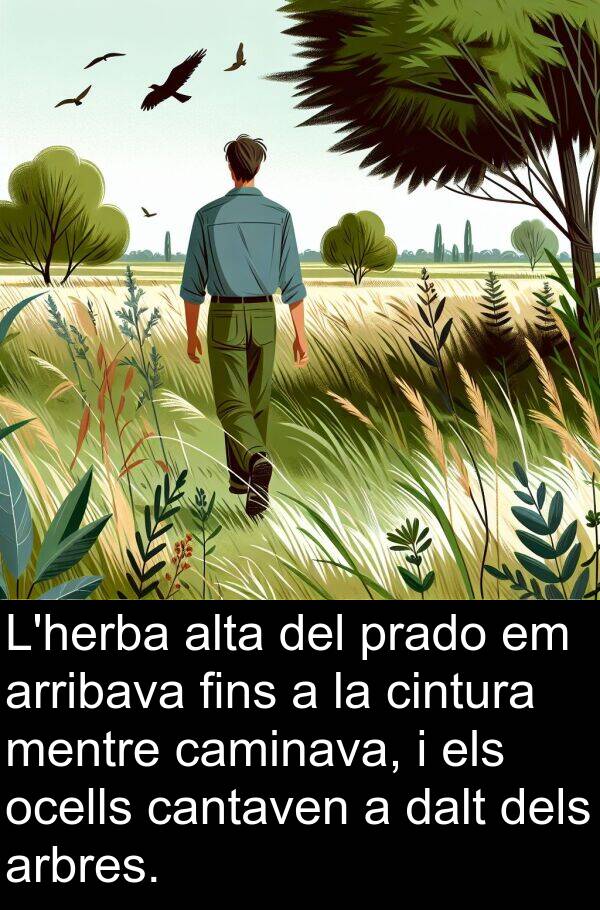 arribava: L'herba alta del prado em arribava fins a la cintura mentre caminava, i els ocells cantaven a dalt dels arbres.