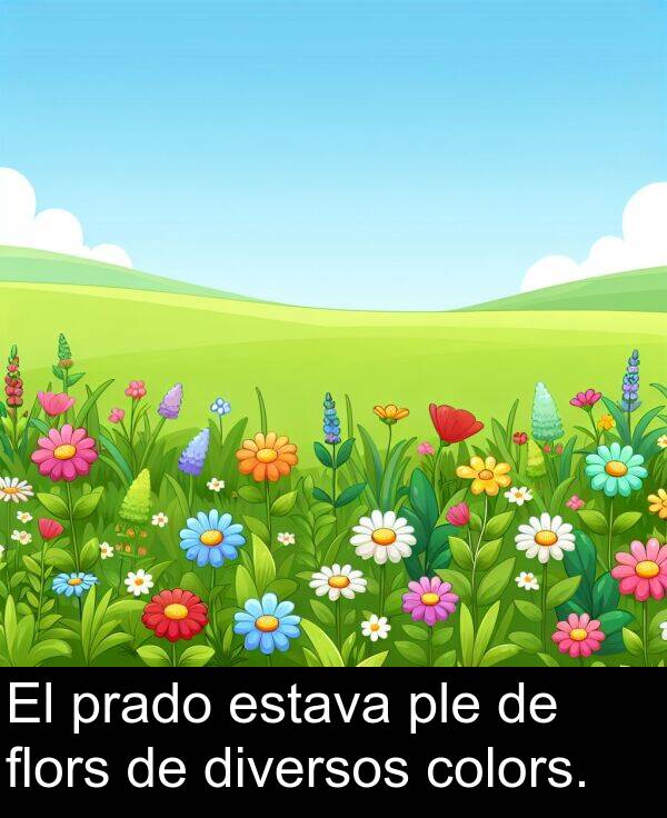 diversos: El prado estava ple de flors de diversos colors.