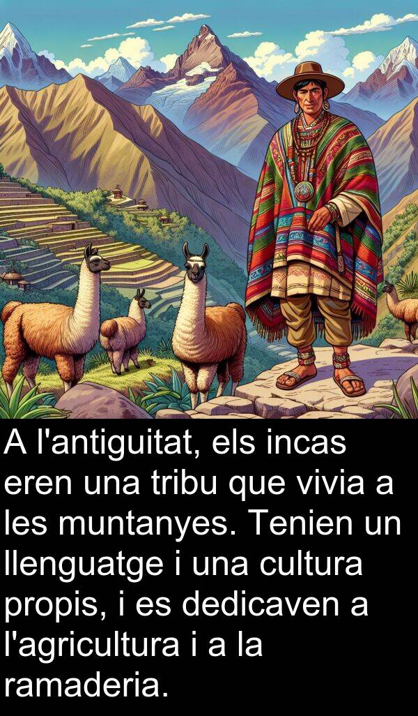 muntanyes: A l'antiguitat, els incas eren una tribu que vivia a les muntanyes. Tenien un llenguatge i una cultura propis, i es dedicaven a l'agricultura i a la ramaderia.