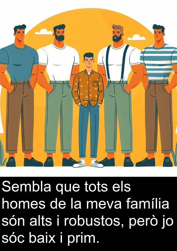 homes: Sembla que tots els homes de la meva família són alts i robustos, però jo sóc baix i prim.