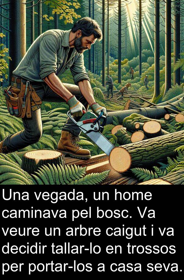 caminava: Una vegada, un home caminava pel bosc. Va veure un arbre caigut i va decidir tallar-lo en trossos per portar-los a casa seva.