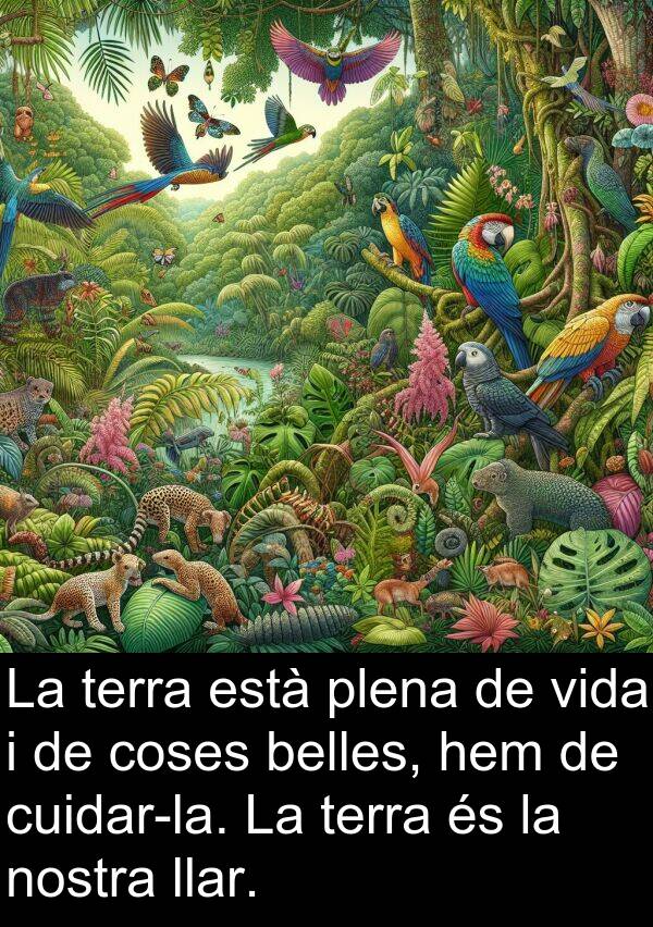 coses: La terra està plena de vida i de coses belles, hem de cuidar-la. La terra és la nostra llar.