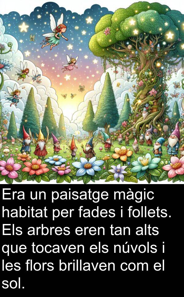 núvols: Era un paisatge màgic habitat per fades i follets. Els arbres eren tan alts que tocaven els núvols i les flors brillaven com el sol.