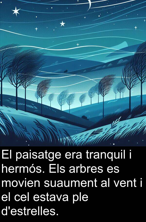 hermós: El paisatge era tranquil i hermós. Els arbres es movien suaument al vent i el cel estava ple d'estrelles.