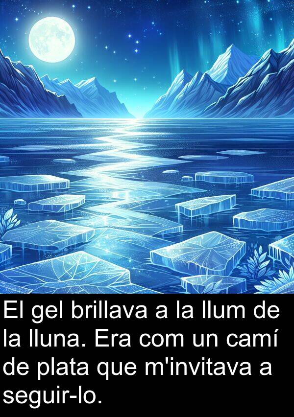 lluna: El gel brillava a la llum de la lluna. Era com un camí de plata que m'invitava a seguir-lo.