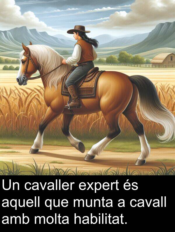 expert: Un cavaller expert és aquell que munta a cavall amb molta habilitat.