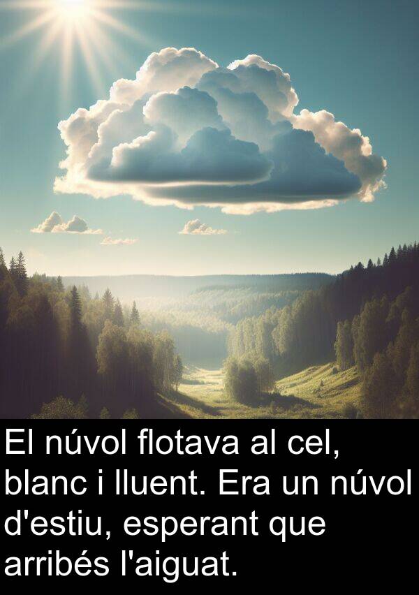 núvol: El núvol flotava al cel, blanc i lluent. Era un núvol d'estiu, esperant que arribés l'aiguat.