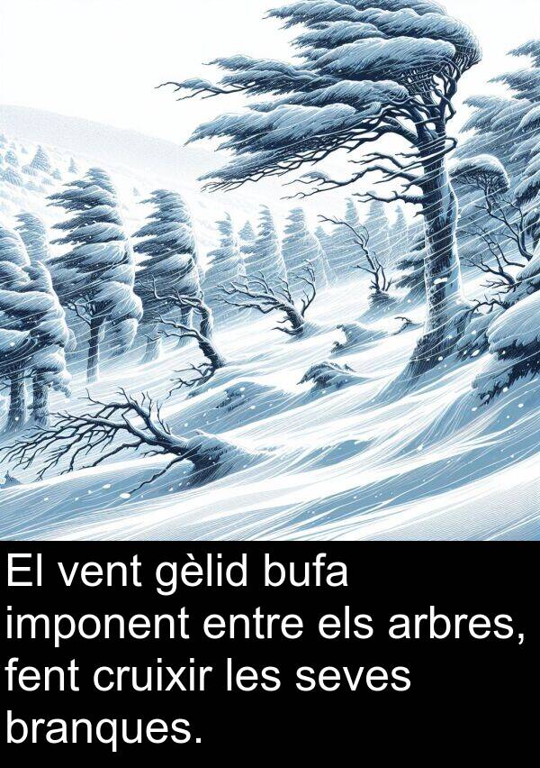 vent: El vent gèlid bufa imponent entre els arbres, fent cruixir les seves branques.