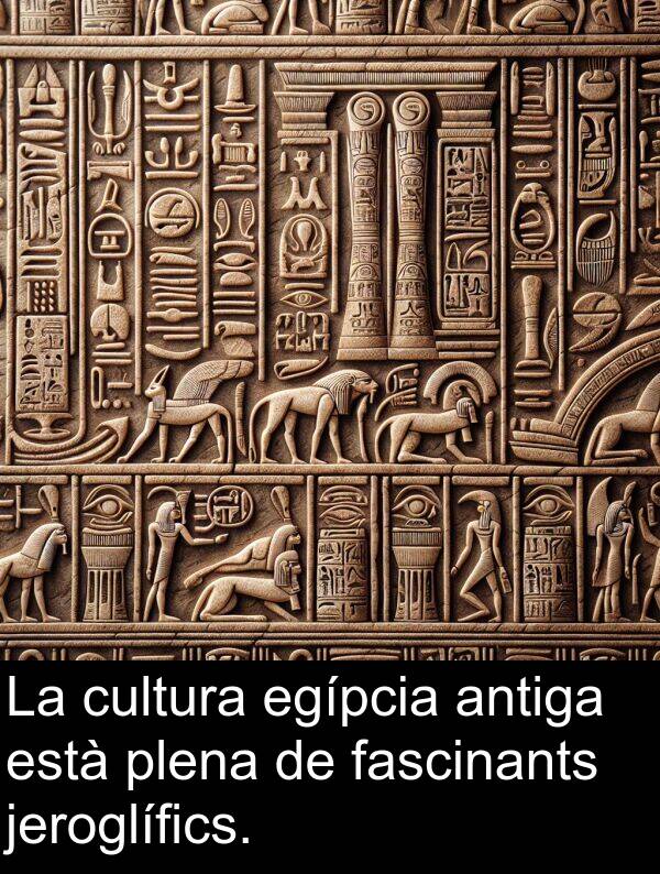 egípcia: La cultura egípcia antiga està plena de fascinants jeroglífics.