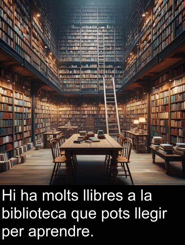llibres: Hi ha molts llibres a la biblioteca que pots llegir per aprendre.