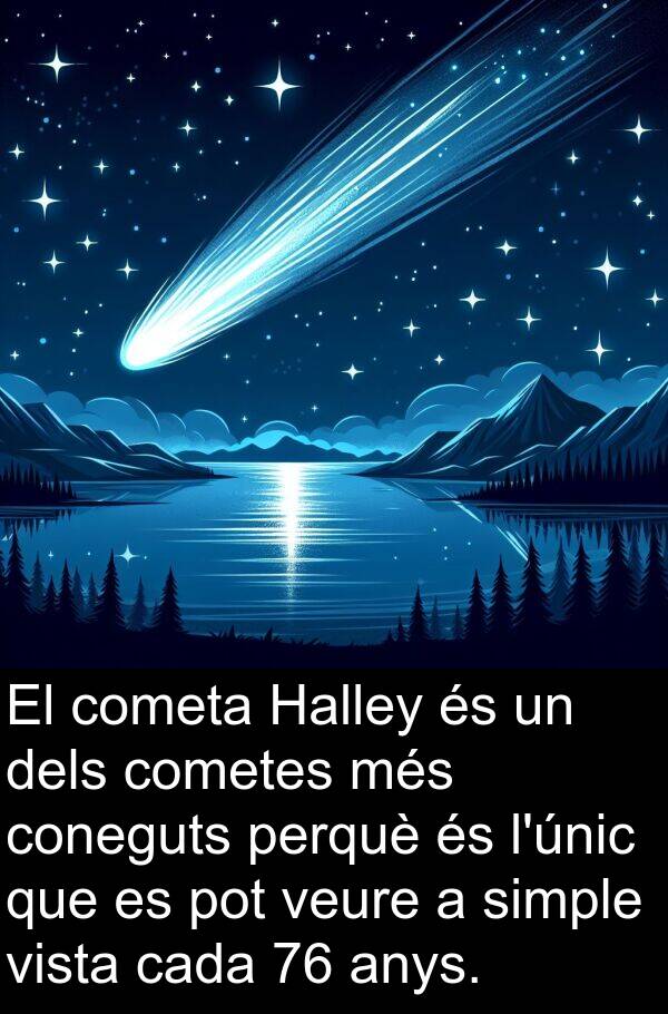 cometa: El cometa Halley és un dels cometes més coneguts perquè és l'únic que es pot veure a simple vista cada 76 anys.