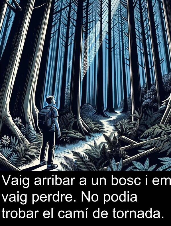 podia: Vaig arribar a un bosc i em vaig perdre. No podia trobar el camí de tornada.