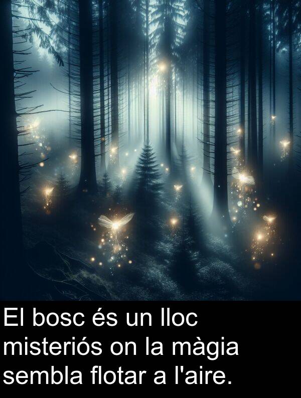 lloc: El bosc és un lloc misteriós on la màgia sembla flotar a l'aire.