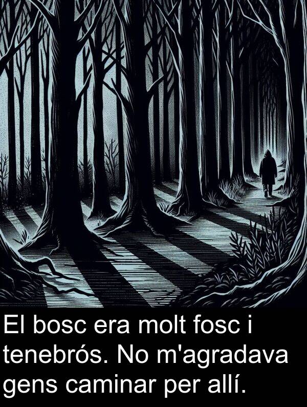 caminar: El bosc era molt fosc i tenebrós. No m'agradava gens caminar per allí.