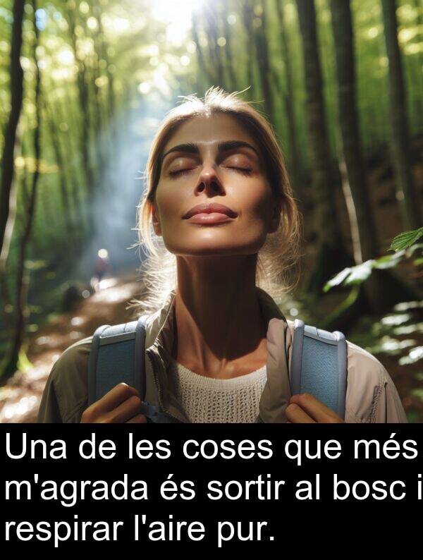 coses: Una de les coses que més m'agrada és sortir al bosc i respirar l'aire pur.