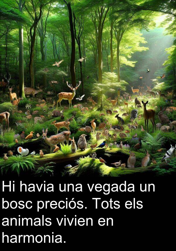 harmonia: Hi havia una vegada un bosc preciós. Tots els animals vivien en harmonia.