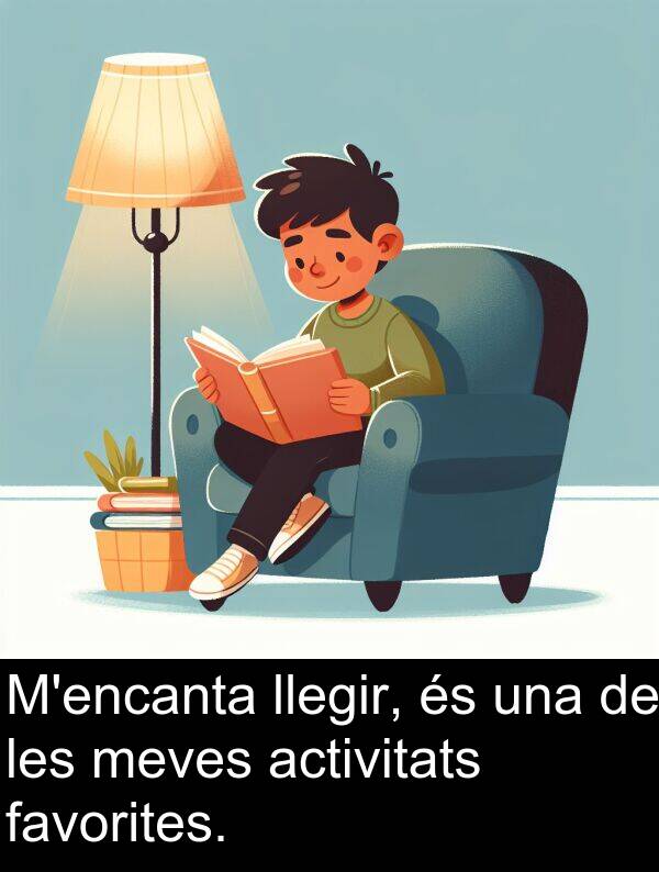 llegir: M'encanta llegir, és una de les meves activitats favorites.