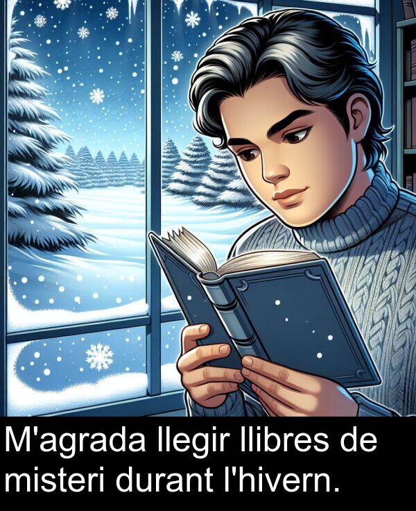 llibres: M'agrada llegir llibres de misteri durant l'hivern.