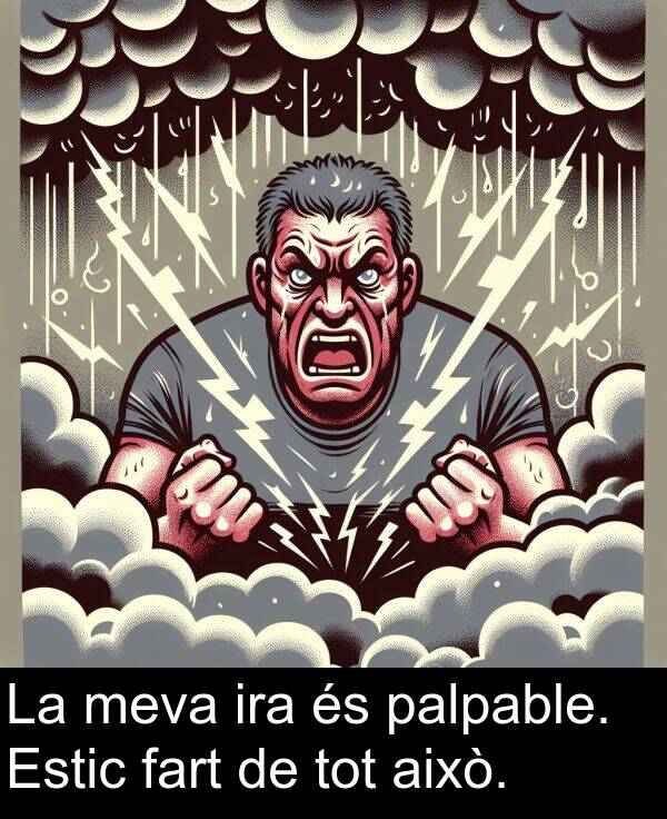 això: La meva ira és palpable. Estic fart de tot això.