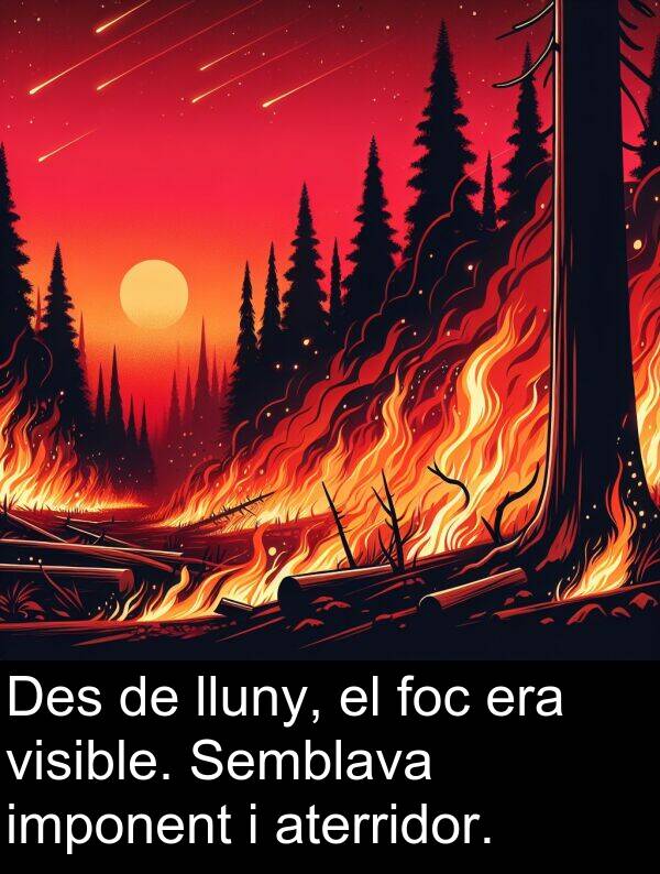 foc: Des de lluny, el foc era visible. Semblava imponent i aterridor.