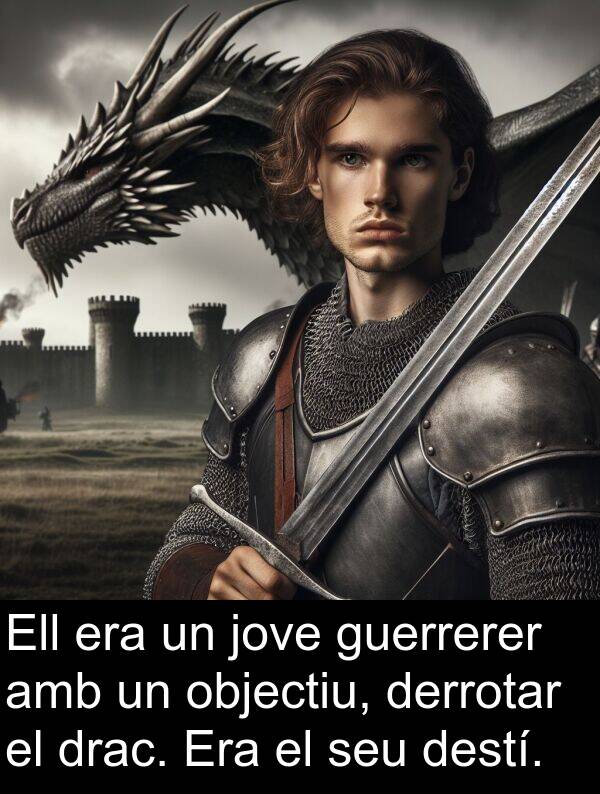 jove: Ell era un jove guerrerer amb un objectiu, derrotar el drac. Era el seu destí.
