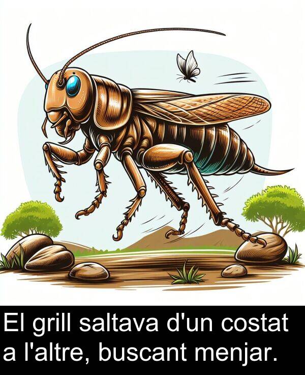 grill: El grill saltava d'un costat a l'altre, buscant menjar.