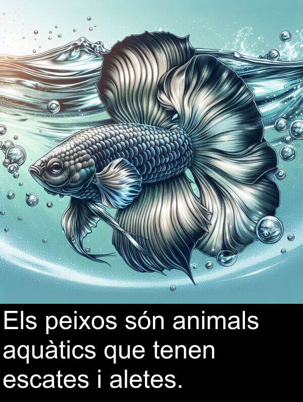 tenen: Els peixos són animals aquàtics que tenen escates i aletes.