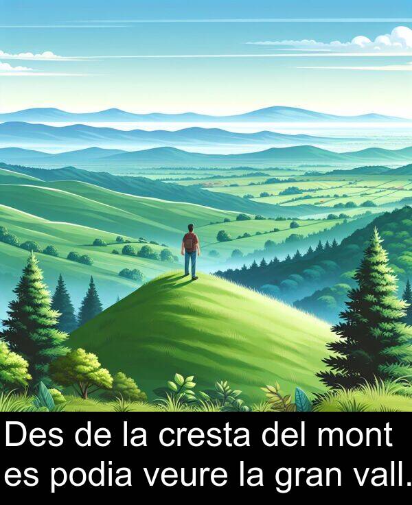 vall: Des de la cresta del mont es podia veure la gran vall.
