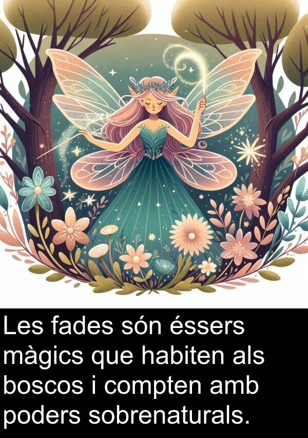 poders: Les fades són éssers màgics que habiten als boscos i compten amb poders sobrenaturals.