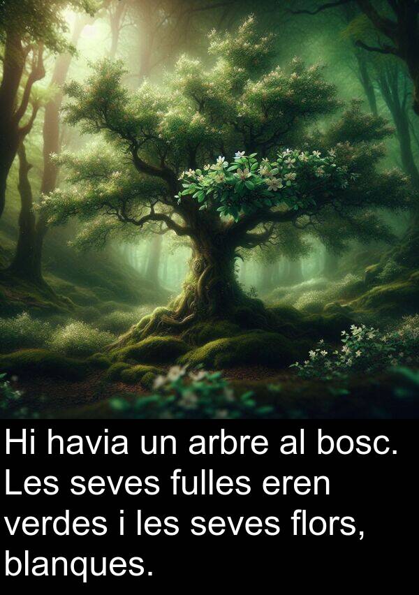 verdes: Hi havia un arbre al bosc. Les seves fulles eren verdes i les seves flors, blanques.