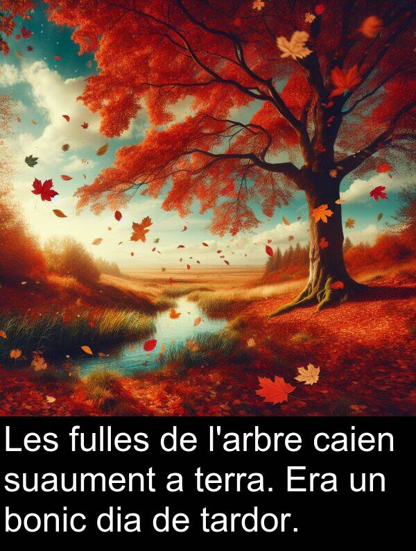 bonic: Les fulles de l'arbre caien suaument a terra. Era un bonic dia de tardor.
