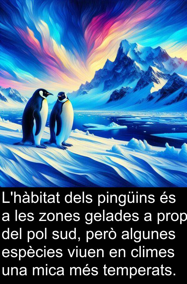 pol: L'hàbitat dels pingüins és a les zones gelades a prop del pol sud, però algunes espècies viuen en climes una mica més temperats.