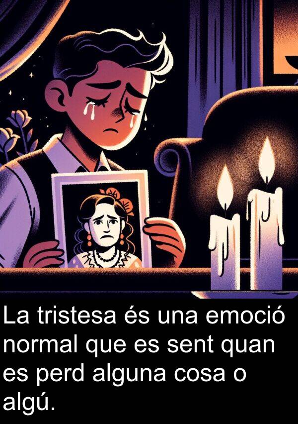 cosa: La tristesa és una emoció normal que es sent quan es perd alguna cosa o algú.