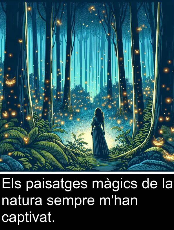 paisatges: Els paisatges màgics de la natura sempre m'han captivat.